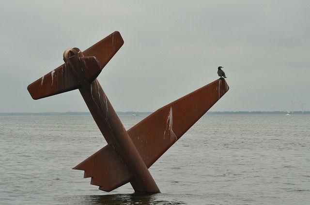 Passenger plane crashes into Lake Victoria in Tanz