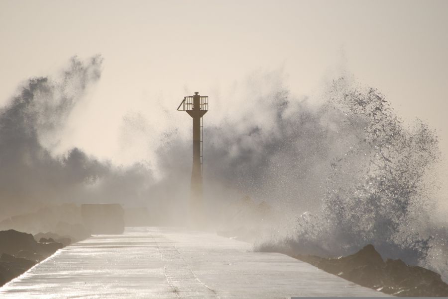 Typhoon Muifa downgraded to strong tropical storm 