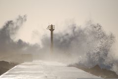 Typhoon Muifa downgraded to strong tropical storm 
