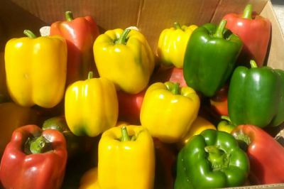 WE OFFER HEALTHY ORGANIC PRODUCES