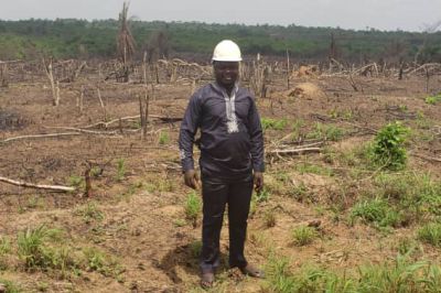 Virgin Farm Land For Sale In Ogun State